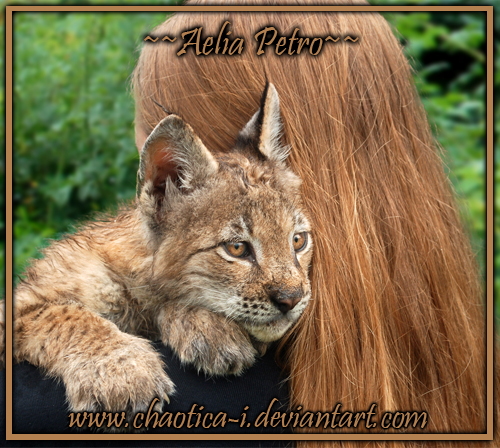 Siberian Lynx deviantID