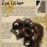 Labyrinth Guide - Eye Lichen