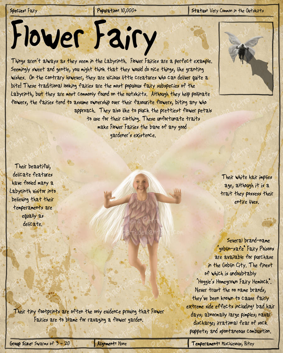 Labyrinth Guide - Flower Fairy