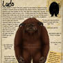 Labyrinth Guide - Ludo