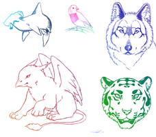 Animal Sketchies