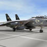 ACS Lunahawks F-14