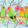 Lovebird Family