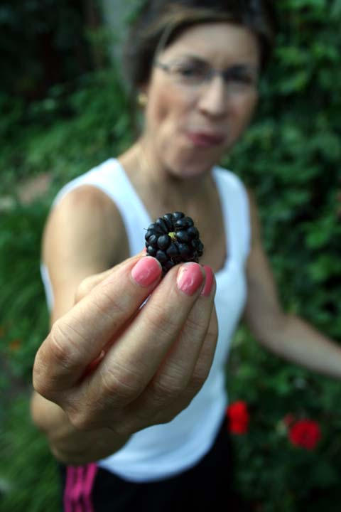 Woman Named Raspberry Mom's raspberries by mattmitch on DeviantArt