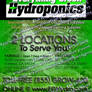 Business promotion - mock flyer - hydroponic shop