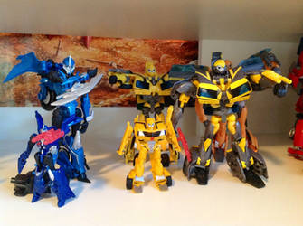 ((Layout of TFP collection: Part 6))