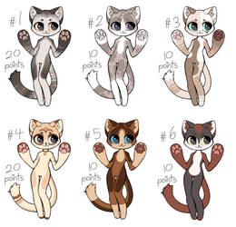 CLOSED ADOPTS