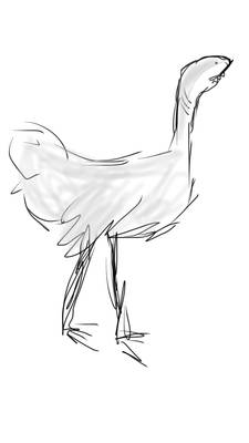 Ostrichark