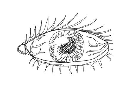 Continuous Line Challenge: Eyeball