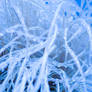 Crystal Spines 2