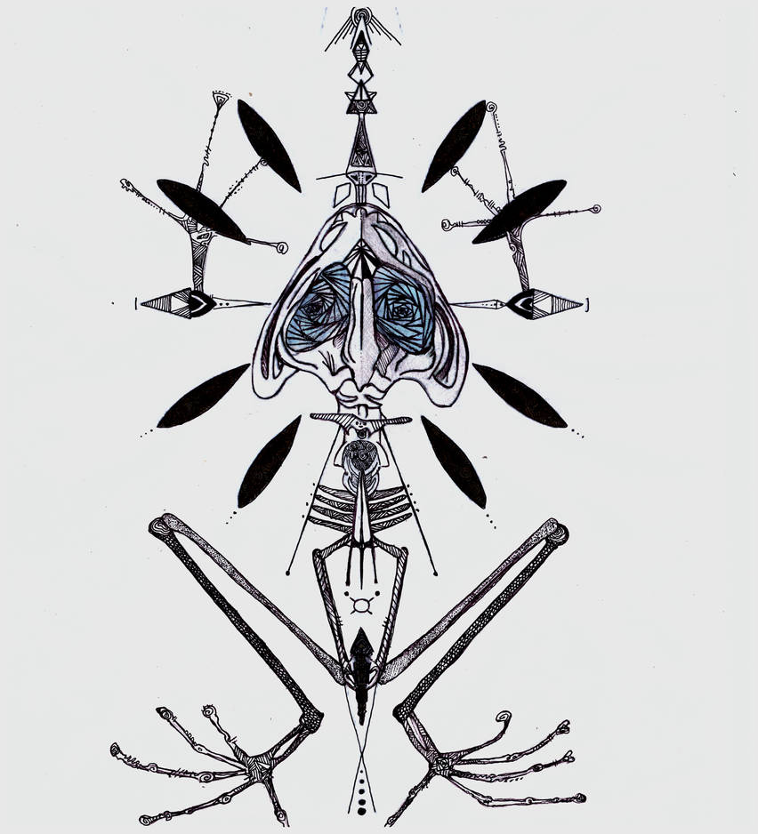 Creepily anatomically incorrect Frog skeleton by angelosprime on DeviantArt