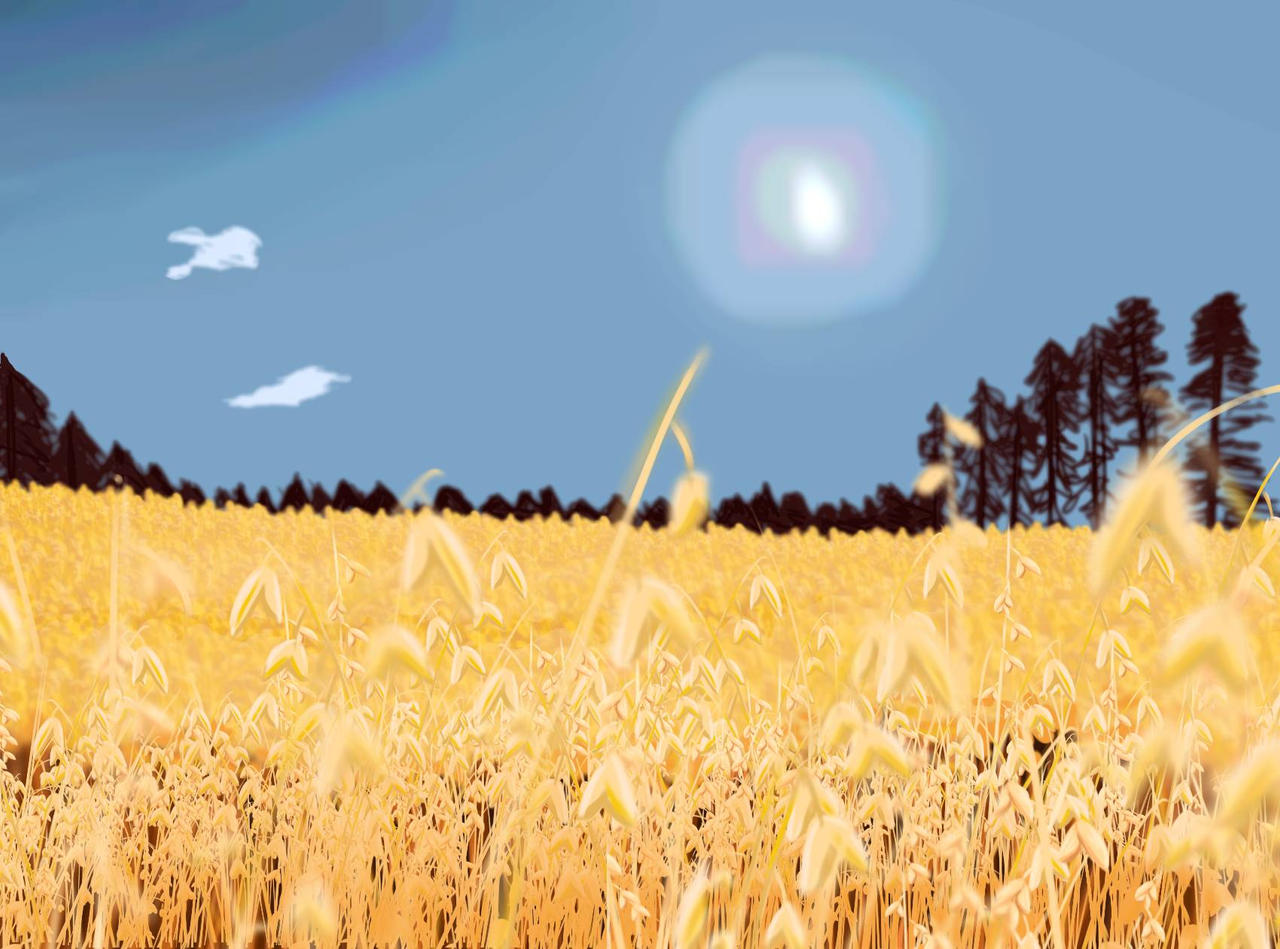 Field of oats by Rii-ver on DeviantArt