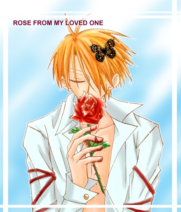 Sanji + St Patricks contest 10