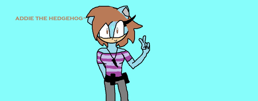 Addie's Chunks addie the hedgehog updated by knucklesfan290 on DeviantArt
