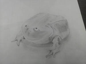 Froggo 