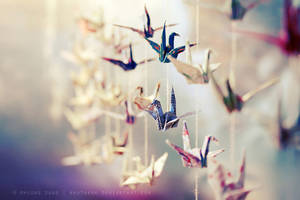 Enchanted by ntpdang Enchanted by ntpdang