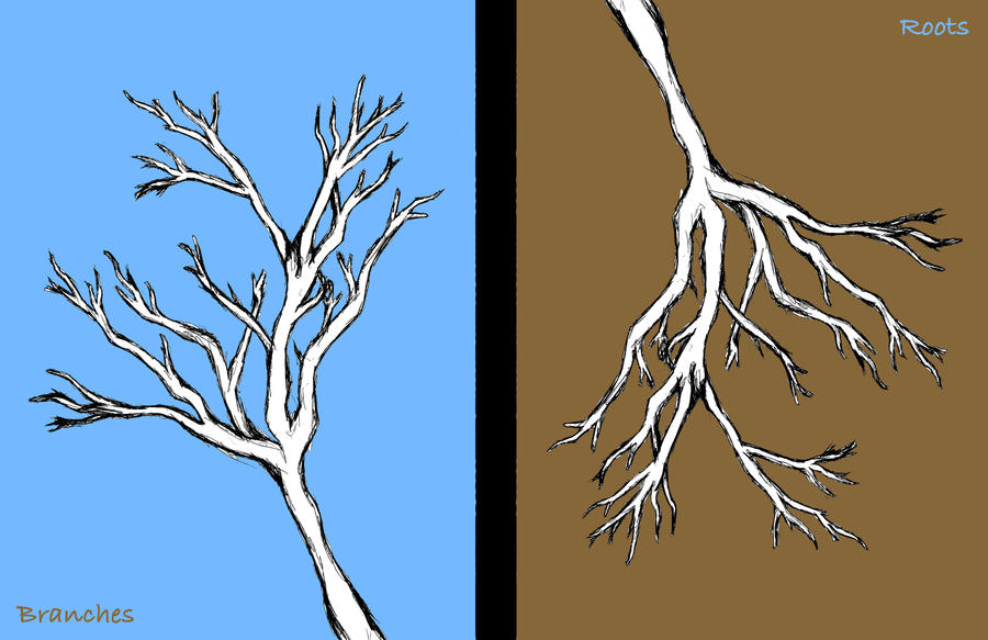 Branches or Roots?