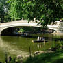 Central Park, NYC