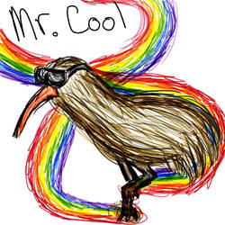 Mr Cool the Kiwi