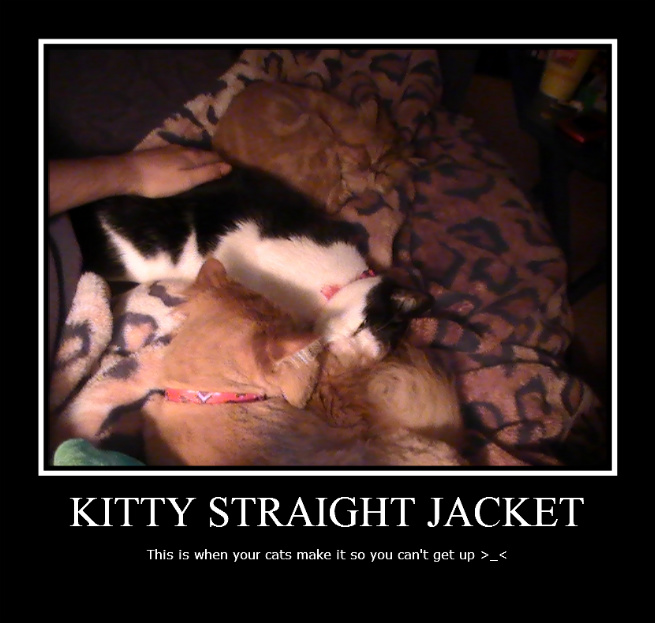 Kitty straight jacket