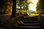 stairs by lia-minou