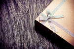 a present by lia-minou