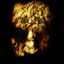 Bad trip id