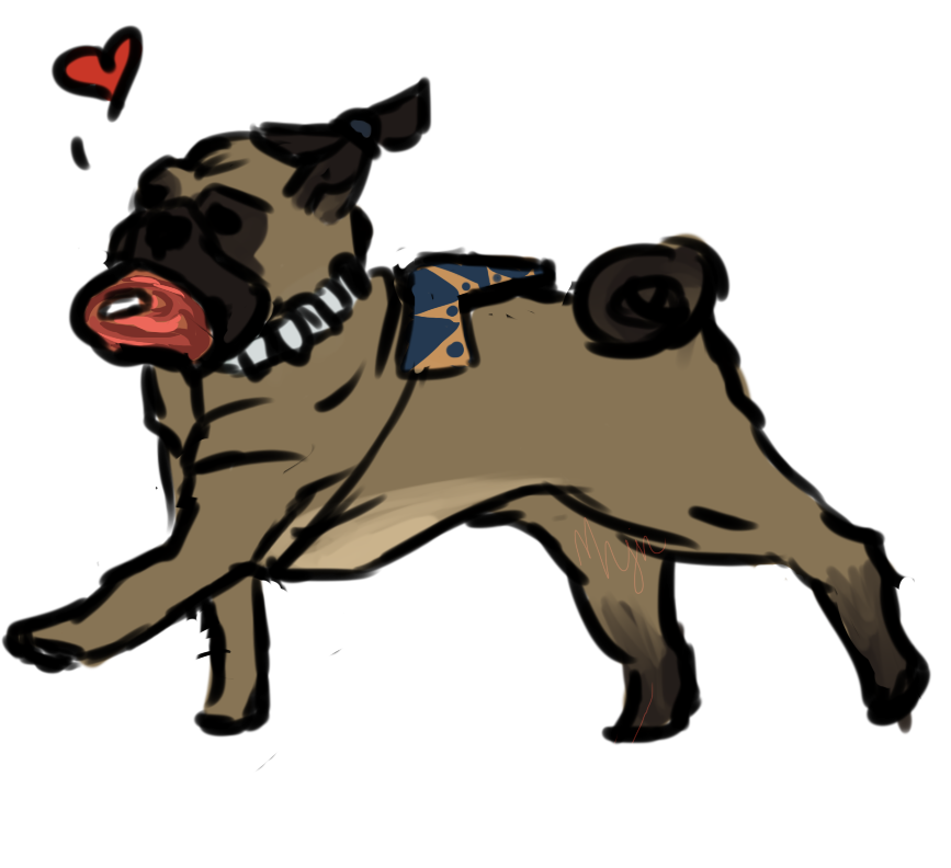 Sokka Pug