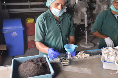 Explore the Best Teapackagingprocess Art | DeviantArt