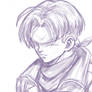 Future trunks