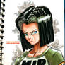 Android17 colored