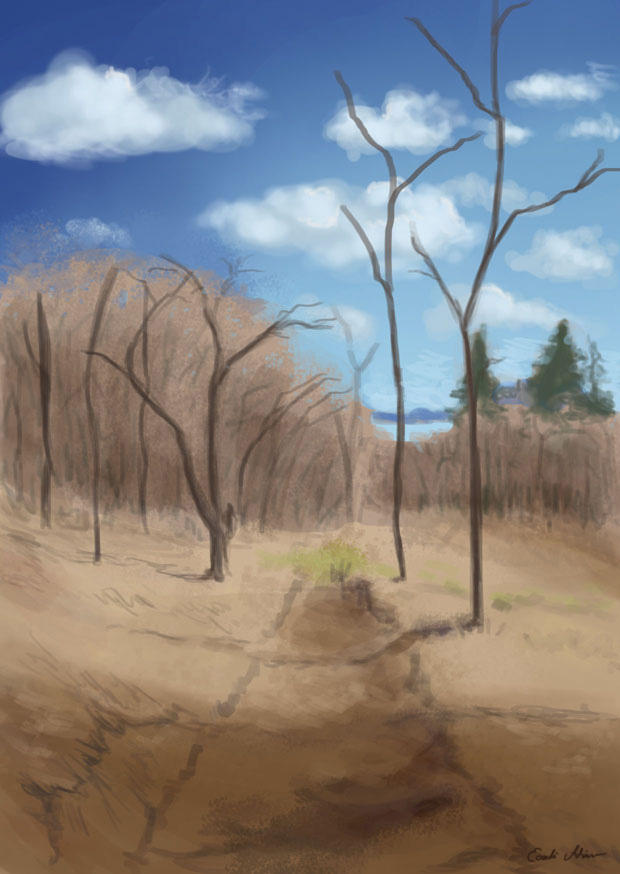 Spring forest painting practice by AdriennEcsedi on DeviantArt