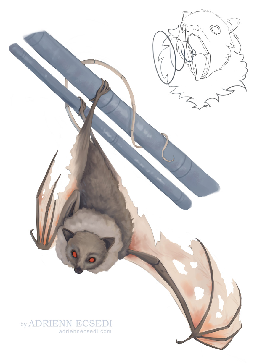 Commission: Bat painting + bat sketch (speedpaint)