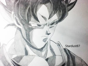 SSJ Goku Traditonal