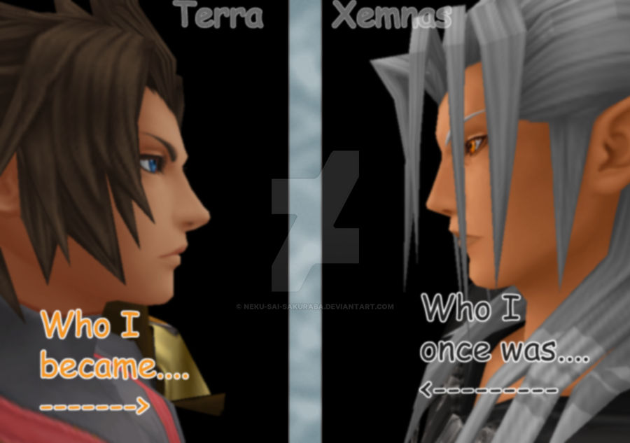 Same +Terra Xemnas+