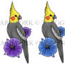 Cockatiel Tattoo Concept