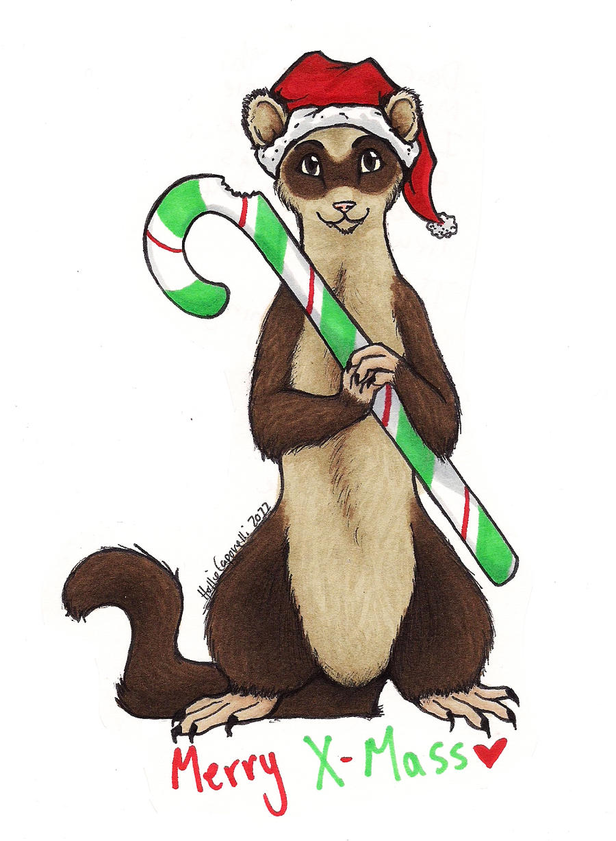 Xmas Card- Ferret