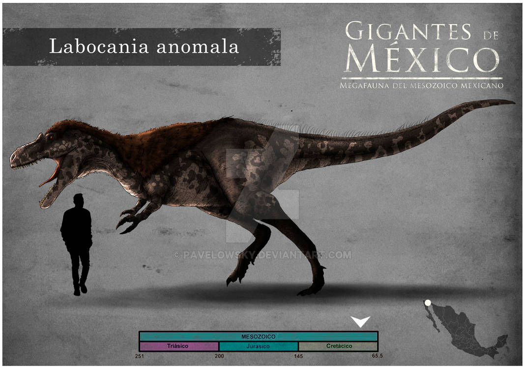 Labocania LABOCANIA ANOMALA by PAVELOWSKY on DeviantArt