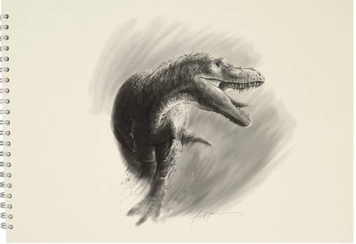 T Rex Sketch