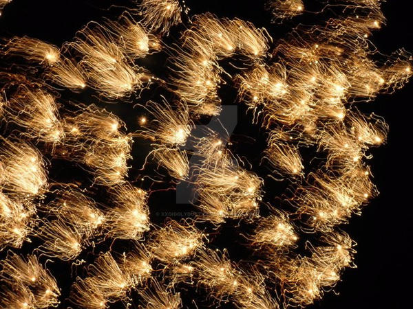 One Firework by xxgigglybuttxx on DeviantArt