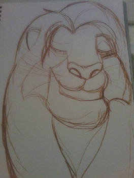 Simba WIP