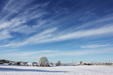 Snowy Landscape