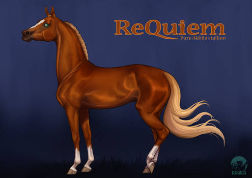ReQuiem - Akhilo Stallion
