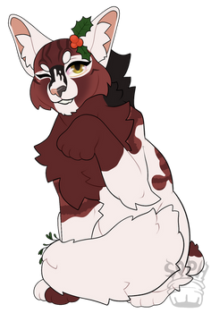 Quollstar Fullbody Holly