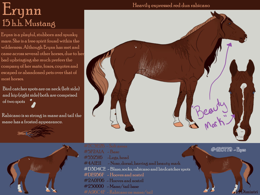 Erynn by Dimintri on DeviantArt