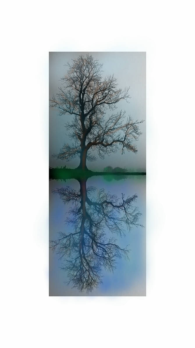 Reflective Trees by schreckdog on DeviantArt