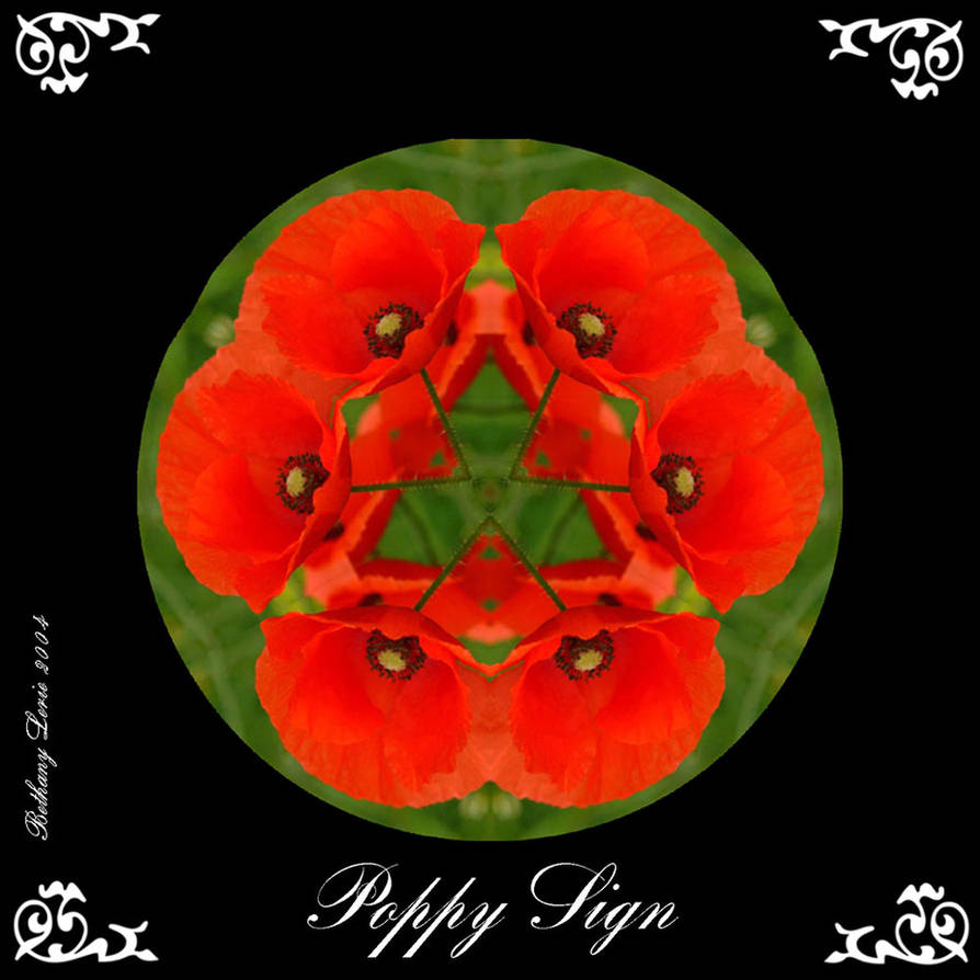 Poppy Pattern For Sign Poppy Sign by redLillith on DeviantArt