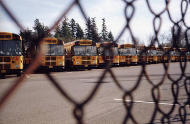 fence and buses 021708