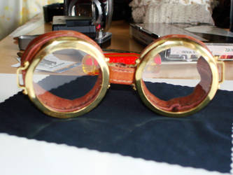 Goggles 032708 5