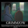 Bleach Poster: Grimmjow